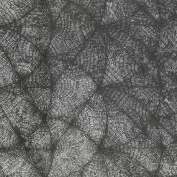 Grouper / Xela – Tsuki No Seika Vol 1