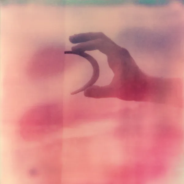 Vestals – Forever Falling Toward The Sky